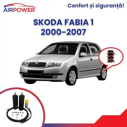 skoda-fabia-1-2000-2007-perne-auxiliare